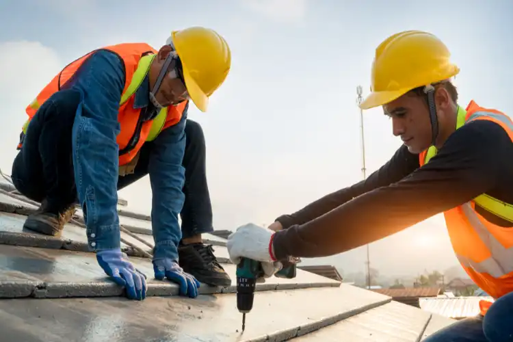 Gridline Projects Ltd - Construction Company in Fort St. John